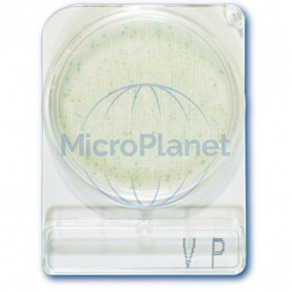 COMPACT DRY VP, placas para Vibrio parahaemolyticus. c/ 40 uds.