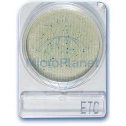 COMPACT DRY ETC, placas Enterococos, c/40 uds.