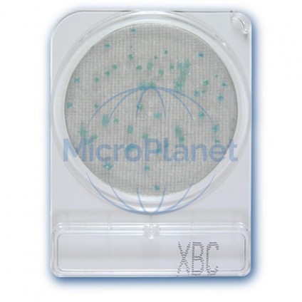 COMPACT DRY XBC (BC) Bacillus cereus. c/40 uds. (ISO 7932:2004)