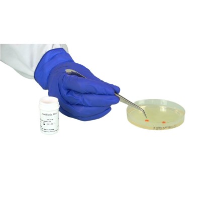 LIOFILCHEM® - LINCOMYCIN-SPECTOMYCIN  MSP 100 µg  c/250 discos