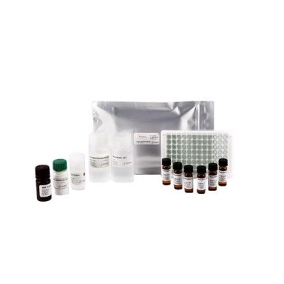 PROGNOSIS® - BIO-SHIELD AFLATOXINA B1 5 , c/96 test