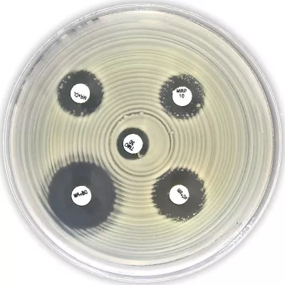 ESBL DISC KIT (acc. to EUCAST), 50 tests