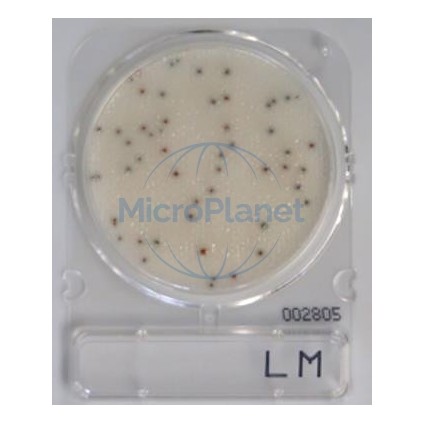 COMPACT DRY LM, placas Listeria monocytogenes, c/40 uds.